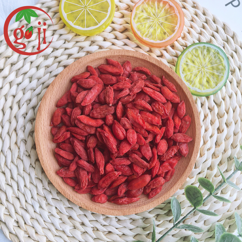 Nh&agrave; cung cấp Goji Berry hữu cơ