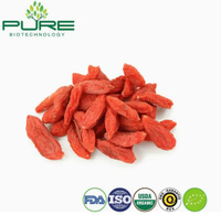 //jirorwxhlpiiln5p.ldycdn.com/cloud/plBpiKmilpSRplqropookm/Premium-Goji-Berry-Suppliers-China.jpg
