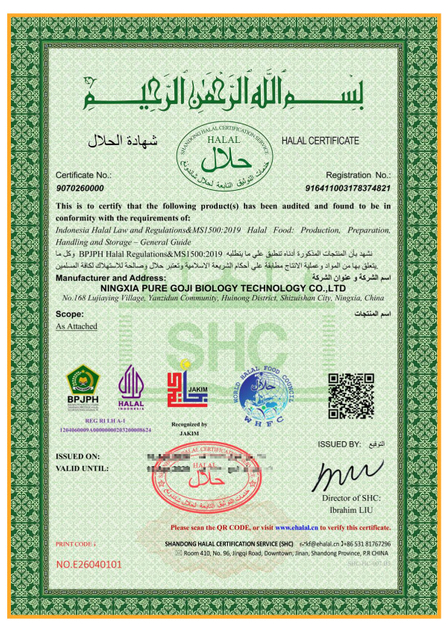 جواز سفر غوجي العالمي